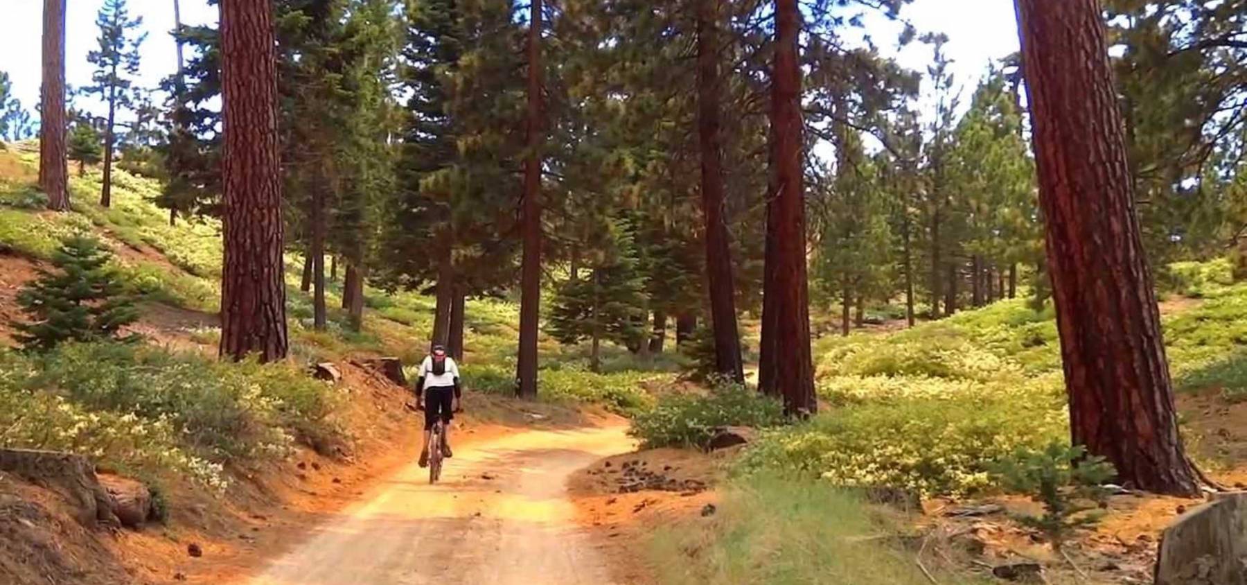 Big Bear Biking