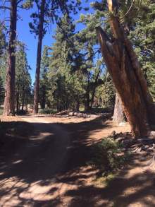 Big Bear Lake, Hiking, California, Big Bear